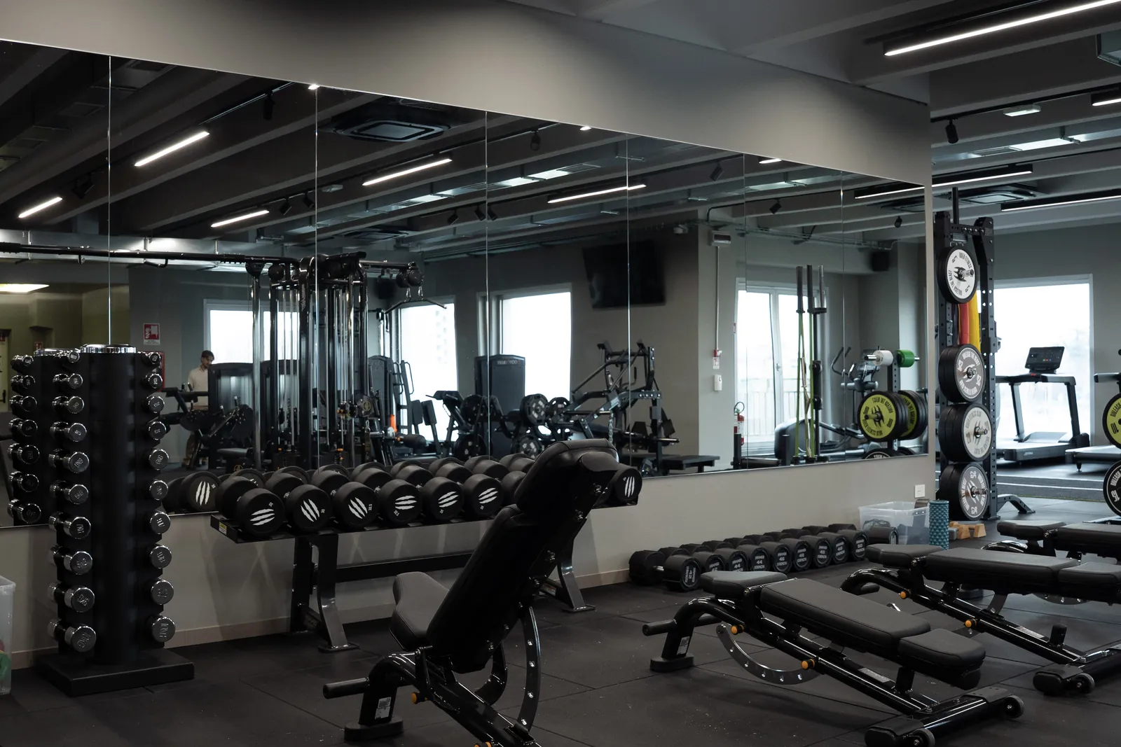La palestra Riven